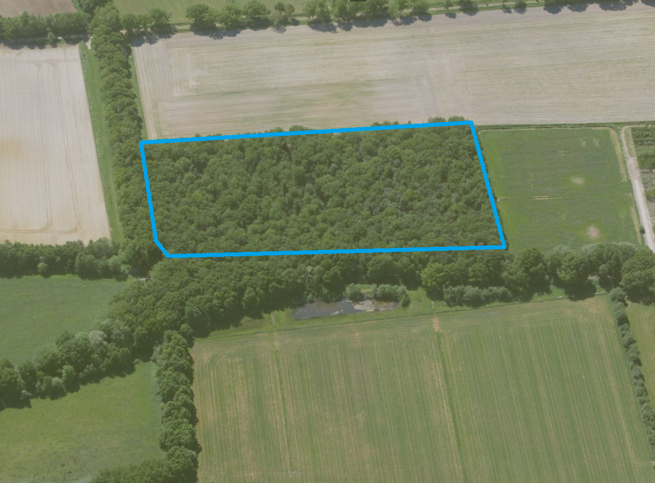 Luchtfoto 3